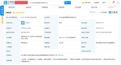 信息技術咨詢服務 賦能企業(yè)數(shù)字化轉(zhuǎn)型